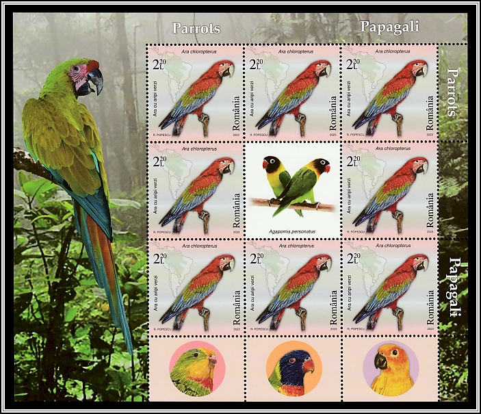 Green-Winged Macaw (Ara chloropterus) - Mini-sheet Type I