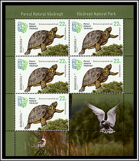 European Pond Turtle (Emys orbicularis)