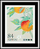 Bitter Orange