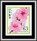 Peach Blossoms