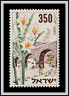Narcissus and Bridge at Gesher