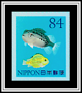 Lumpfish