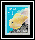 Balloonfish