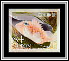 Ibo Lumberfish