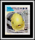 Congeefish