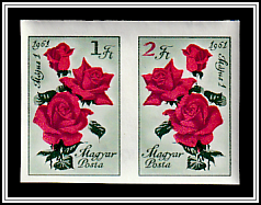 Roses