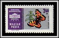 Small Tortoiseshell (Aglais urticae)