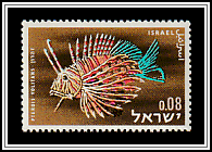 Red Lionfish (Pterois volitans)