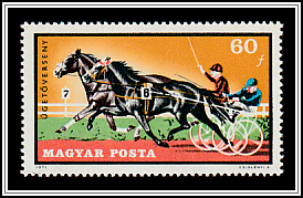 Trotting Horses