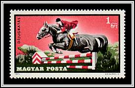 Show Jumping