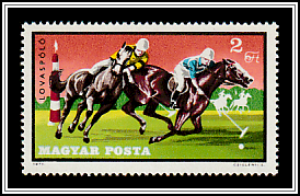 Polo Match