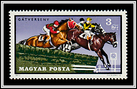 Steeplechase